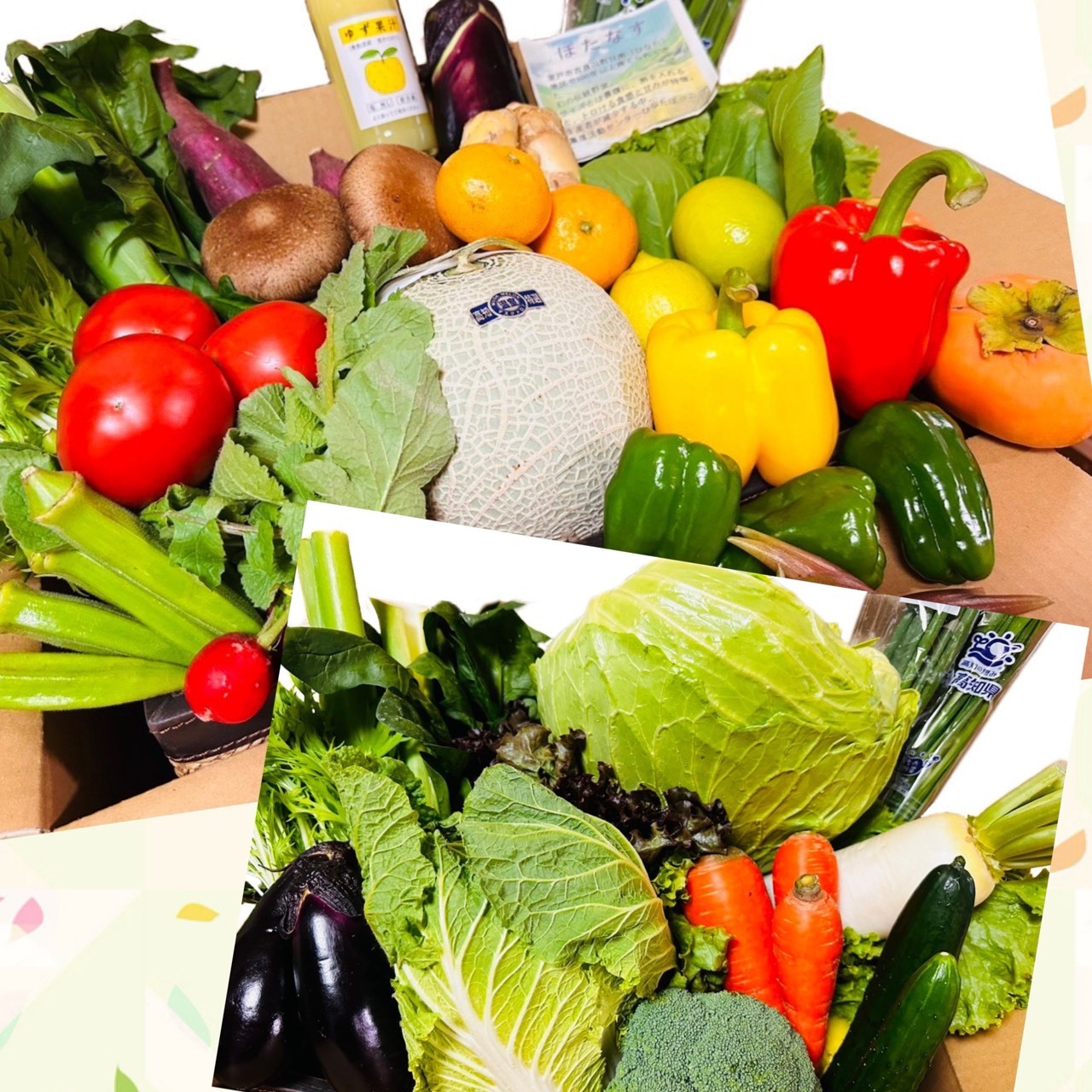 【産地直送！新鮮な食材！】